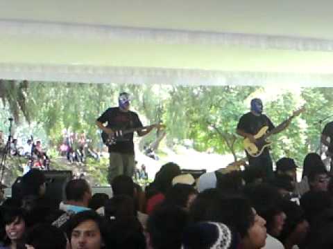 Los Elasticos - Dulce Manicomio