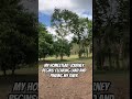 Day 1: Clearing My Land &amp; Creating a Path to the River (Puerto Rico Homestead) #homesteadlife