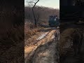Tiger Attack Tiger Following Car Ranthambore National Park Zone 3 India Tiger Attack Tiger Following Car Ranthambore National Park Zone 3 India