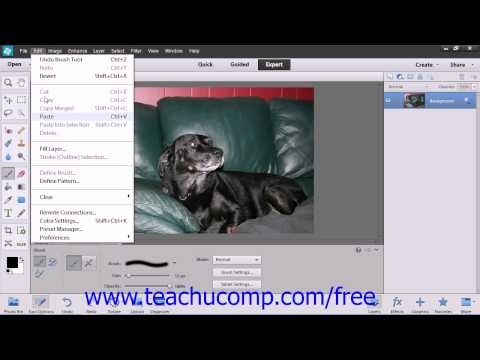 Photoshop Elements 12 Tutorial The Brush Tool Adobe Training Lesson 6.2