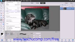 Photoshop Elements 12 Tutorial The Brush Tool Adobe Training Lesson 6.2