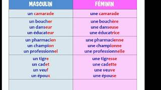 LE FÉMININ DES NOMS