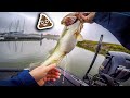 I CAN'T BELIEVE This Fish Did THAT (Lake Ray Hubbard Crankbait Fishing)