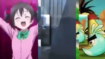 My Edited Video Shuric Scans With Are Slides Sonic 2025 Edition VS @jinyat