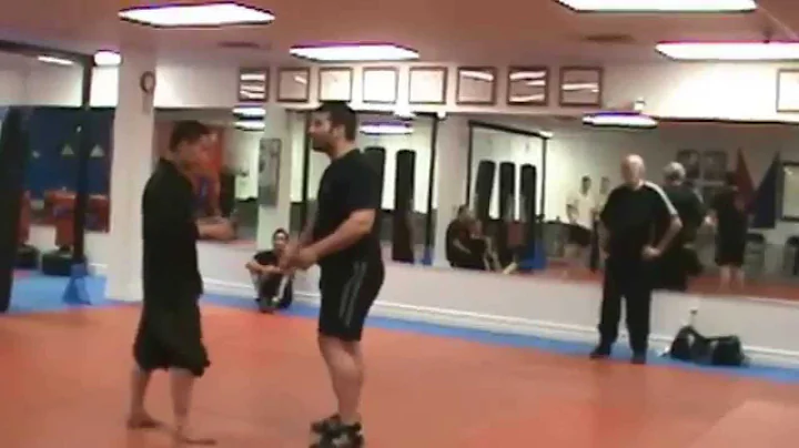 Chen Tai Chi (Taijiquan) Fight Free Spar.  Chen Zi...