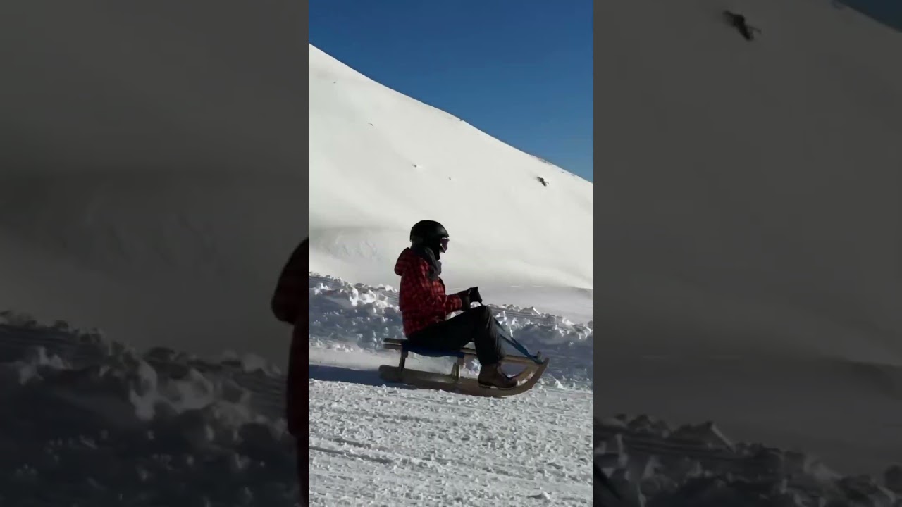 ALLE Informationen zur Rodelbahn in… 🏔️