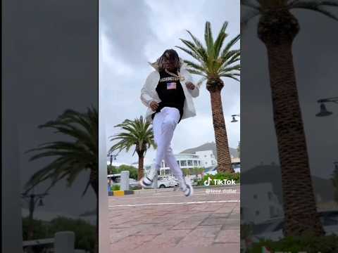 Teee Dollar Ojapiano Mara Dance