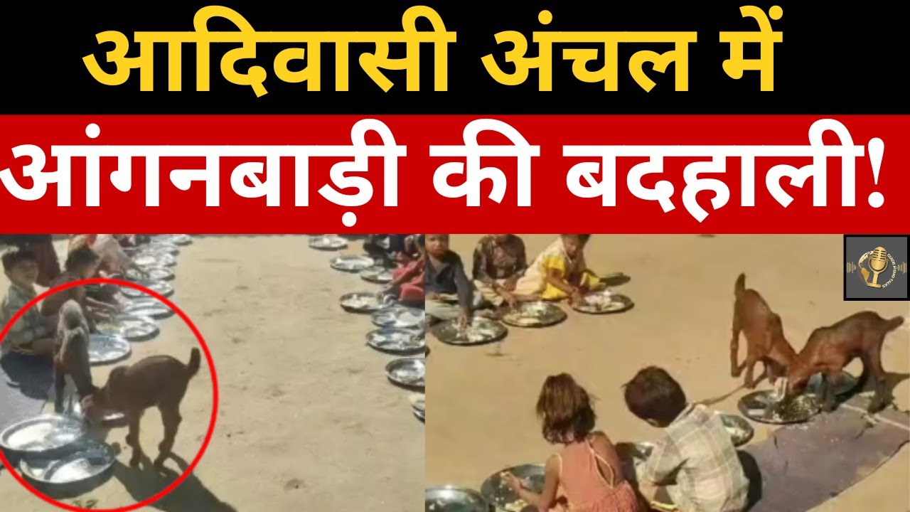 MP News: Katni Anganwadi Mismanagement Exposed | आदिवासी बच्चों के साथ बकरियां खा रहीं मध्यान भोजन!
