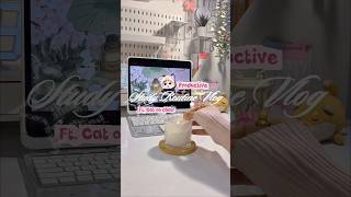 Study vlog ft.📚 Cat on chair 🐈 #studywithme #productivity #shorts