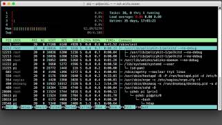 Linux htop - like top, but better
