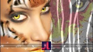 NE7CODE - Lyrebird, No Man's Land, Noise [House Music]