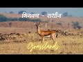 Bhigwan rashin grassland birding experience in marathi