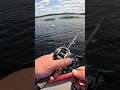 spider web trick where a spider can build a web  bass will be ambushing #bassfishing #maineoutdoors