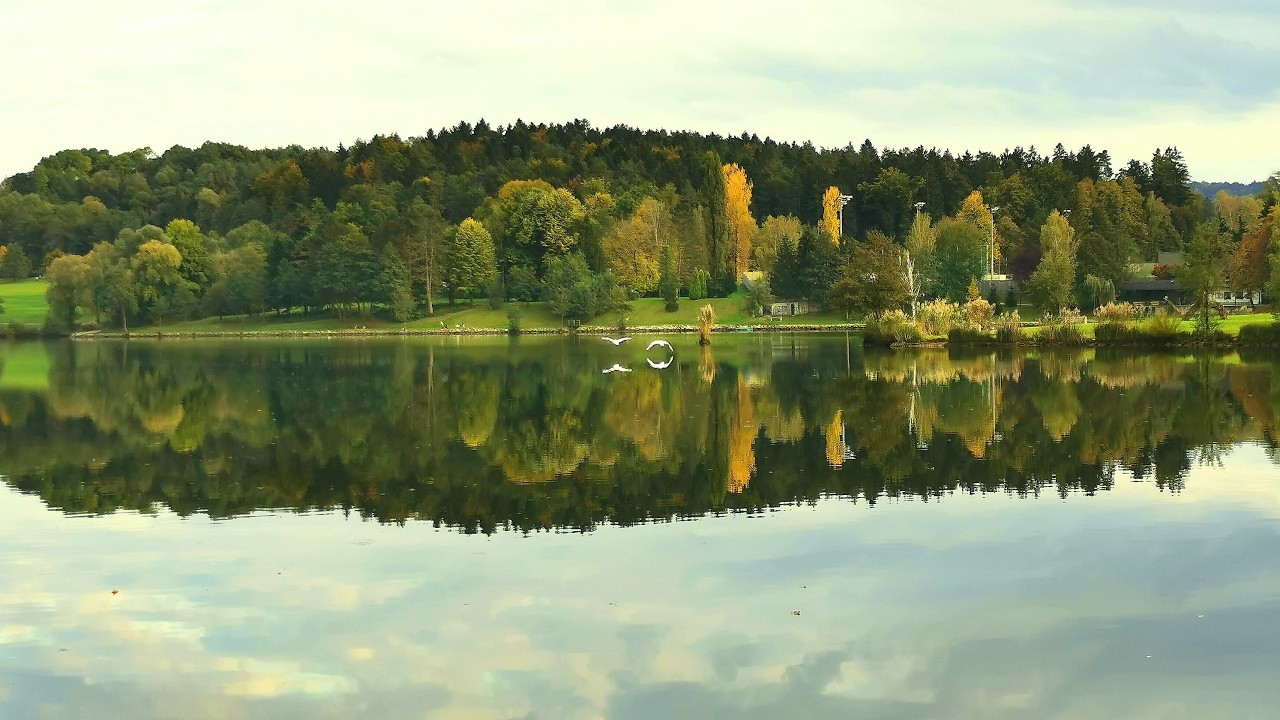 Jesen n velenjskem jezeru 2025