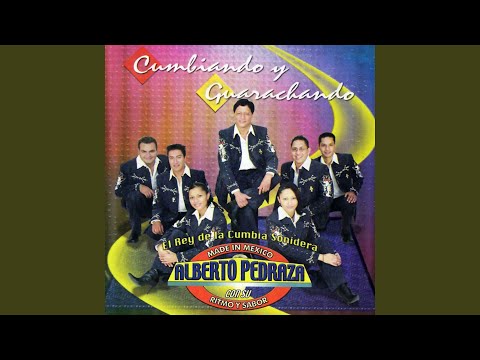 Pájaro Cenzontle