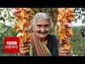Indian great-grandmother YouTube star - BBC News