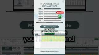 Wellness Journal, Fitness Tracker, Fitness Journal, Mood Tracker, Habit Tracker, Excel Template