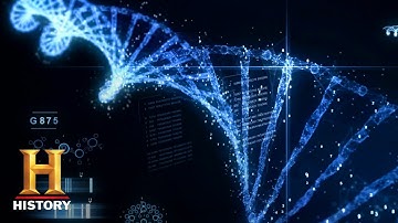 Ancient Aliens: Secret DNA Code Encrypted in Ancient Artifacts (Season 16) | History