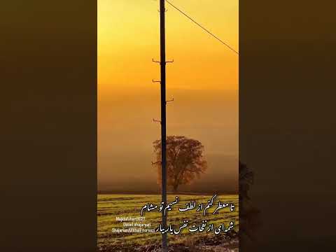 ۱۷ نوامبر ۱۹۹۲ آمریکاتا م ع ط ر ک ن م از لطف نسیم تو م شام شجریان