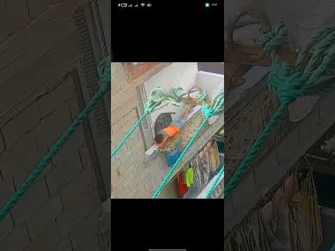 لما اطلع أنشر الغسيل في البلكونه