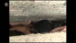Rescuers free Chinese boy trapped between walls