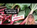 We strategically relocated to the north heres our garden update