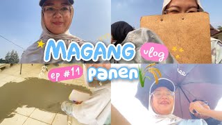 Download Lagu MAGANG: first time pergi ke lahan seru pwol dan panas edan 😲 MP3