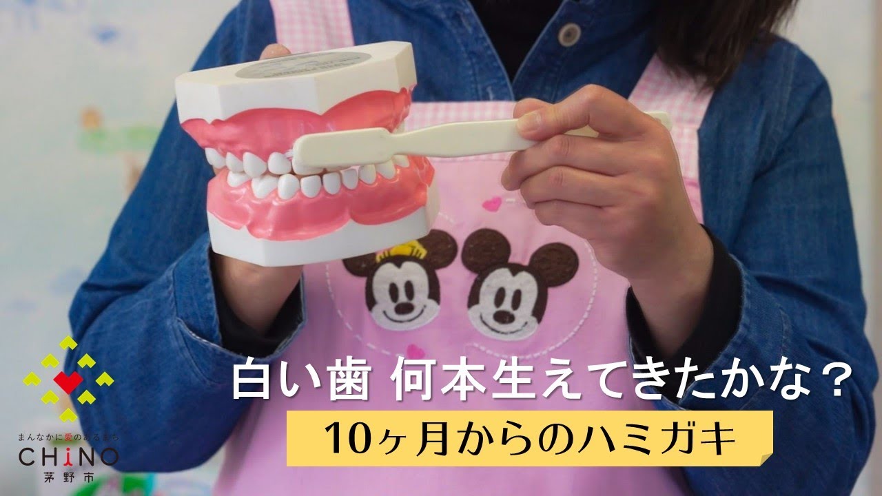 10ヶ月からのハミガキ 白い歯 何本生えたかな Youtube