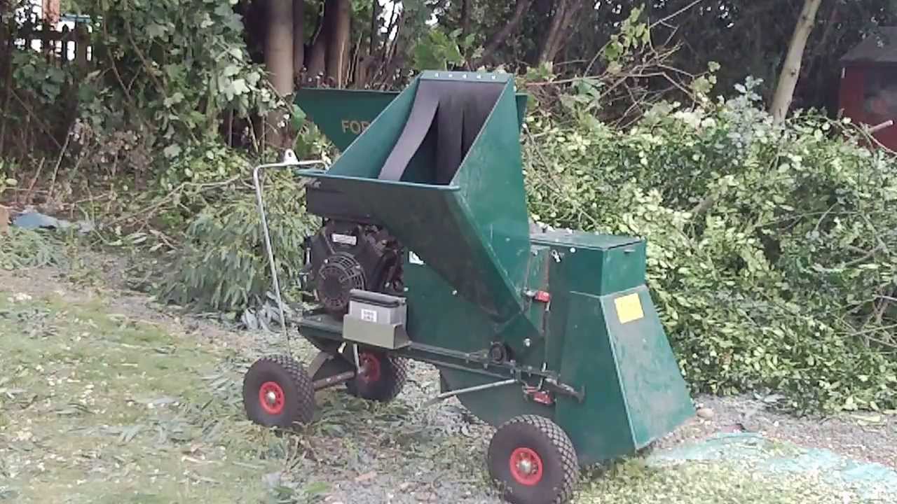 Shredding & Chipping A Holly Tree