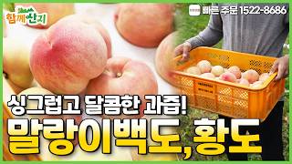 Fresh and Sweet Juicy Peaches! Soft White and Yellow Peaches screenshot 5