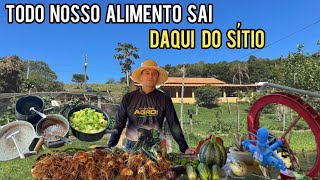 Download Lagu FAZENDO A FEIRA DE LEGUMES E VERDURAS AQUI NO SÍTIO  MP3