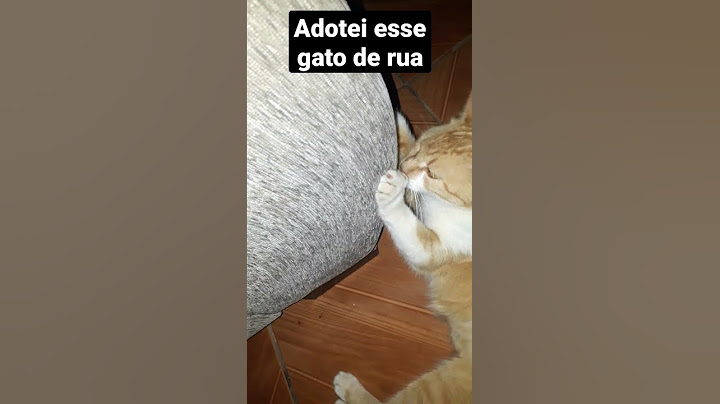 Gato rasgando sofá