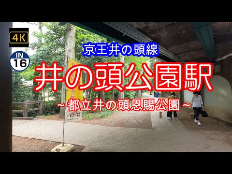 4K【井の頭公園~京王井の頭線】【IN16】【都立井の頭恩賜公園(井の頭公園)】【法政大学中学校・高等学校】【明星学園中学校】【吉祥寺駅の隣】「京王井の頭線」駅周辺ぶらぶら散歩~順番にUP