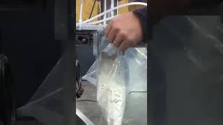 Bulk and dribble filler