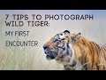 7 tips to photograph wild tiger my first encounter