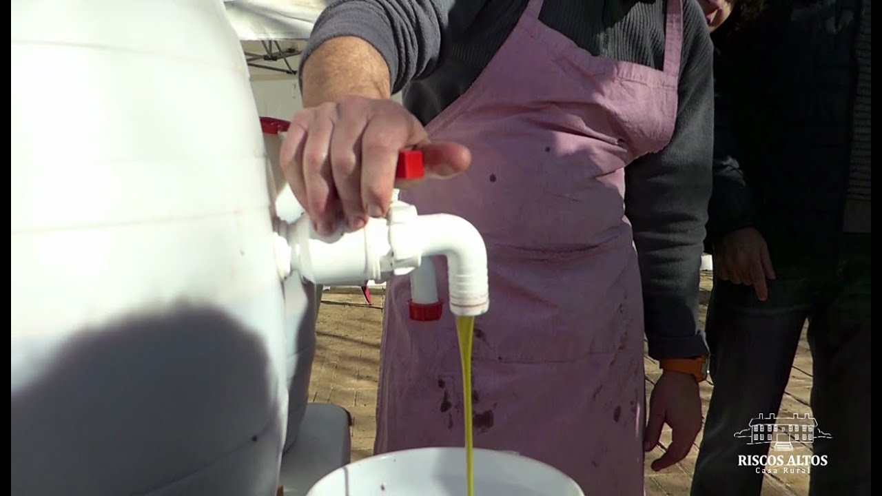 Primer taller de aceite de oliva en Riscos Altos