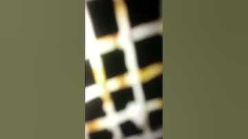 Pier &  beam foundation