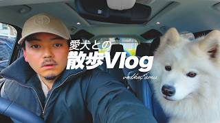 【Vlog】ボドカ&愛犬アムの散歩Vlog in 代々木公園 【サモエド】