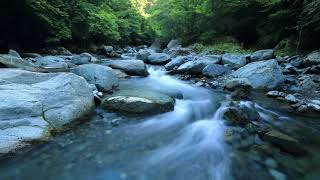 Maurice Ravel -  Jeux d'eau (1 hour loop)
