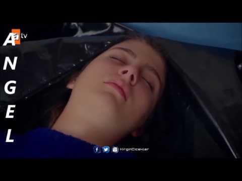 يا راحو حبابي الازهار الحزينة