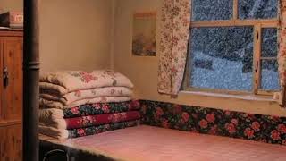 Aydın Bıra Mırın Hêbya Kalbin Tünebya 🎵🎵