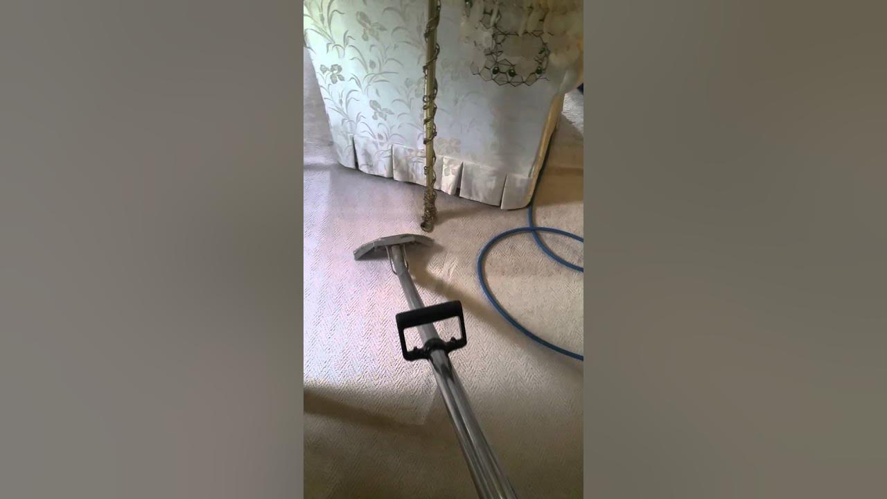 Neighborhood Professional Carpet Cleaning Woodbridge VA YouTube