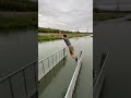 Sketchy jump over water  parkour stunt extremesports