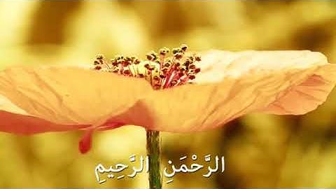 أرح سمعك (سورة الفاتحة) القارئ:أحمد النفيس تلاوة خاشعة