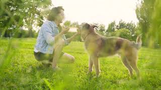 Ashland CTV Ad Net Worth