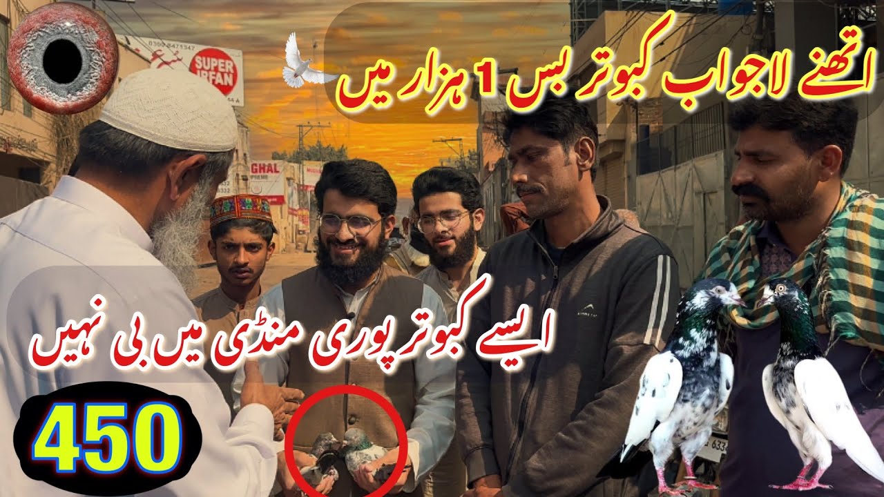 450) Lahore lari ada kabootar mandi || کبوتر منڈی || #amjadaliofficial