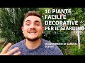 10 PIANTE FACILI E DECORATIVE PER IL GIARDINO: CONSIGLI DI GARDEN DESIGN