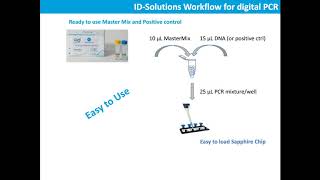 A Digital PCR Liquid Biopsy Workflow for Mutation Detection and Therapeutic Monitoring