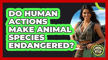 Do Human Actions Make Animal Species Endangered?