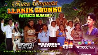 Video thumbnail of "Patricio Alvarado Runa Orquesta Llakik Shunku Yana usu (Audio Oficial)"